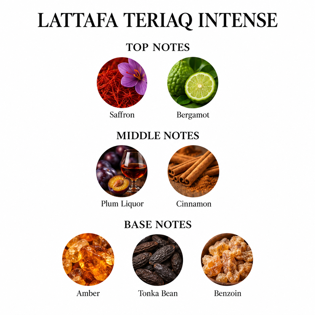 Lattafa Teriaq Intense notes card: top saffron, bergamot; middle plum liquor, cinnamon; base amber, tonka bean, benzoin