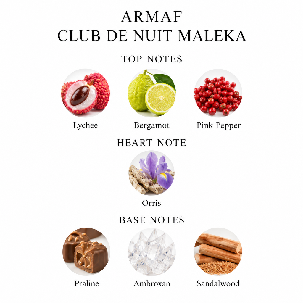 Armaf Club de Nuit Maleka notes card with lychee, bergamot, pink pepper, orris, praline, Ambroxan and sandalwood