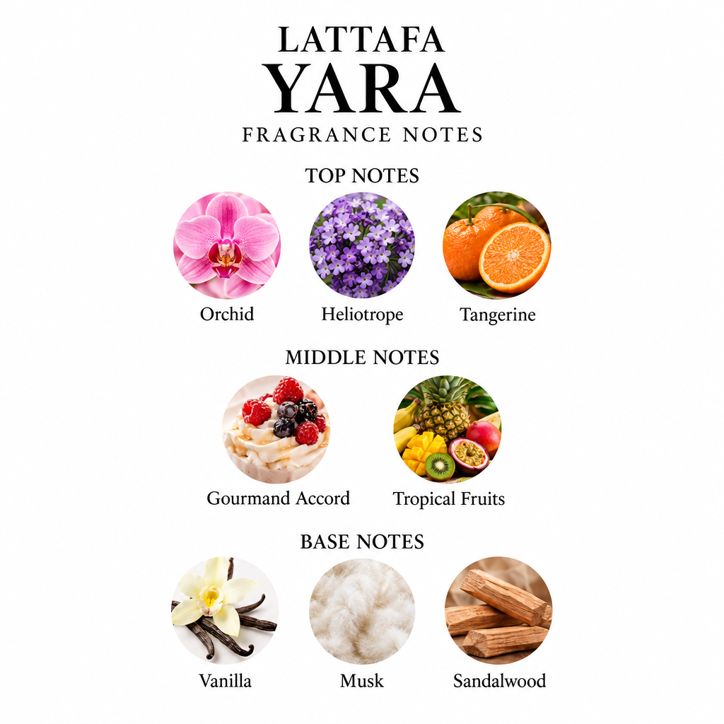 Lattafa Yara notes card: orchid, heliotrope, tangerine, gourmand accord, tropical fruits, vanilla, musk and sandalwood